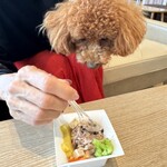 ドトールコーヒーショップ - 