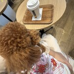 ドトールコーヒーショップ - 