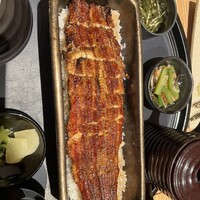 うなぎ四代目菊川 ヒルトンプラザウエスト大阪店 - 