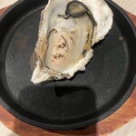 歌舞伎町 牡蠣BASARA - 