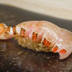 麻布十番 鮨 すずめ - 