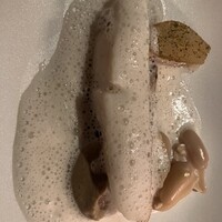 レークハウス - 