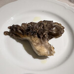 アッピア アルタ 西麻布 - 