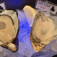 MAIMON GINZA - 