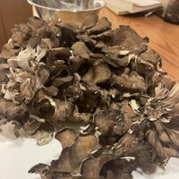 お座敷 天婦良 あやめ - 