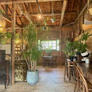 ノクティルチェコーヒー_2