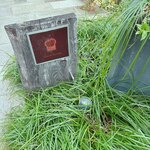 ダンディゾン - 