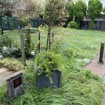 ダンディゾン - 横にはこぢんまりとした公園あり。