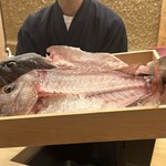 鮨 さえ喜 - 明石の紅葉鯛　長崎のくえ