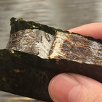 鮨 さえ喜 - 秋刀魚の箱寿司