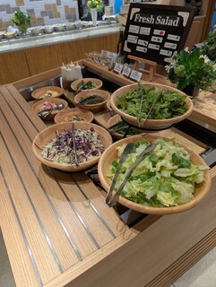 ルシアン - フレッシュサラダ／サニーレタス、レタス、キャベツ
