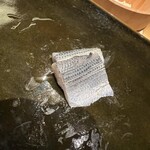 野毛みかん - コハダ