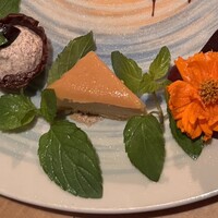 THE RIGOLETTO -  THE RIGOLETTO -