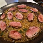 アロセリア ラ パンサ - 