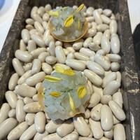 イル・チェントリーノ - 