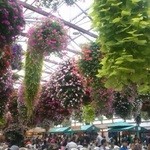 掛川花鳥園 - 全天候型の温室内で食べるバイキング