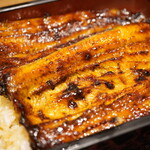 うなぎ すみの坊 - ギラつくタレ色