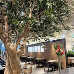 Cosme Kitchen Adaptation - 