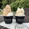 森のジェラテリア MUCCA