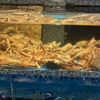 かに道楽 梅田店 - 
