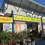 道の駅さがのせき - 