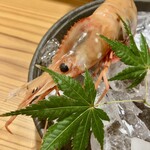 しんのすけ - 造り…ぼたんえび