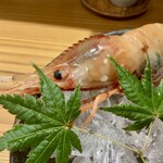 しんのすけ - 造り…ぼたんえび