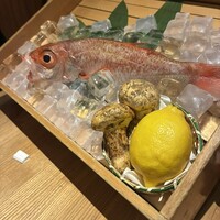 のどぐろ専門 銀座 中俣 -  のどぐろ専門 銀座 中俣 -