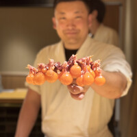 鳥匠いし井ひな - 