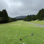 ウイステリア - 