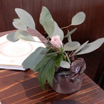 La Rondine - テーブル飾り