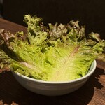 和牛ホルモン一頭買い うしはち - 