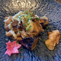 囲炉裏と日本料理 松風庵 - 