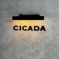 CICADA - 