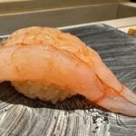 島津 - 甘エビの昆布締め （追加　◎