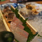 島宿　真里 - 刺身(アカバネなど)