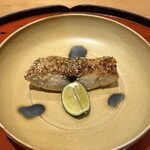 綾小路 唐津 - 焼物〜明石の鰆