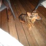 Meskla on the Cove - 