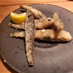 ポップ ガストロノミー レインカラー - 