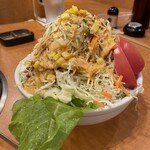 焼肉 ざんまい - ざんまいサラダ半分(普通はこれの2倍はあるはず怖)