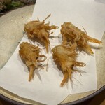 てんぷら 千の種 - 