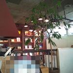 バクロ コモン - 