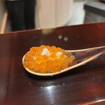 恵比寿 鮨 謙心 - いくら