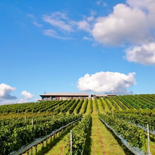 了美 ワイン&ダイン_1