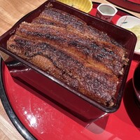 鰻う おか冨士 - 上うな重