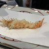 Tempura Wakaki - 