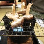 Hoteru Maruyamasou - 【台の物】手もぎ椎茸の網焼き
                      