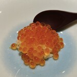 京都 鮨 まつもと - いくら小丼