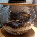 すし 碧海 - 車海老(焼酎で酔っぱらい海老)