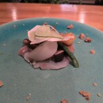 カステロ ヌォーボ - 